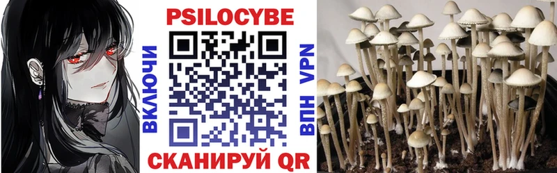Галлюциногенные грибы Cubensis где найти наркотики Минеральные Воды